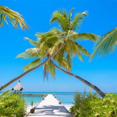 竞彩足球APP官方下载手机app下载